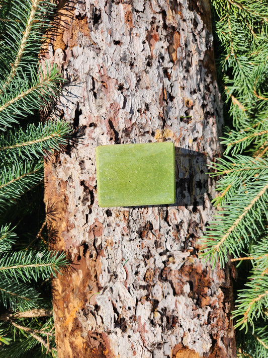 Boreal spruce